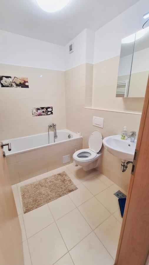 Bacovia Cazare Coresi Apartment Брашов Екстериор снимка